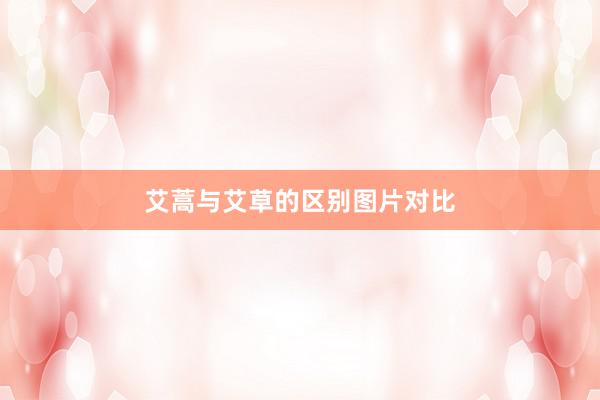 艾蒿与艾草的区别图片对比