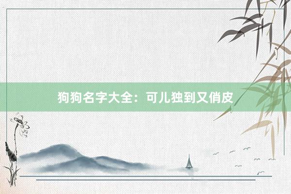 狗狗名字大全：可儿独到又俏皮