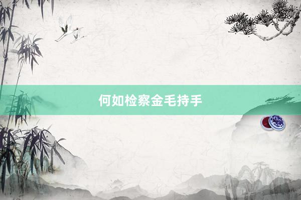 何如检察金毛持手